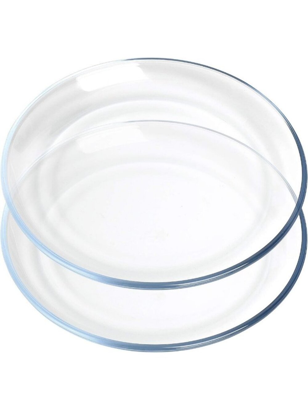 Set of 2 Tempered Glass Dinner Plates - 10 Inch Round Serving Dish, Elegant